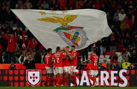 Liga BWIN: SL Benfica x Vitria SC