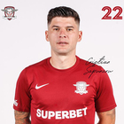 Cristian Sapunaru