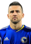 Vedad Ibisevic