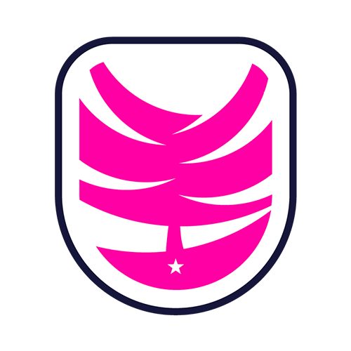 Liga Chilena Femenino 2025