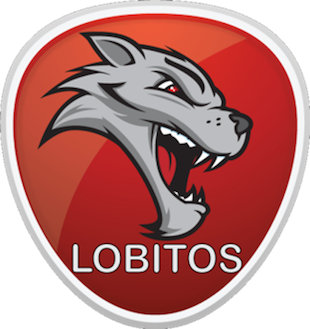 Lobitos Futsal U19