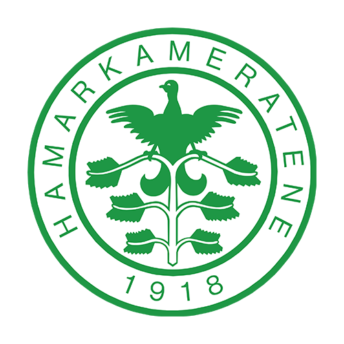 HamKam B