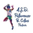 Pallamano Cellini