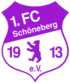1. FC Schneberg