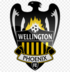 Wellington Phoenix