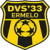 DVS 33