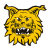 Ilves Tampere